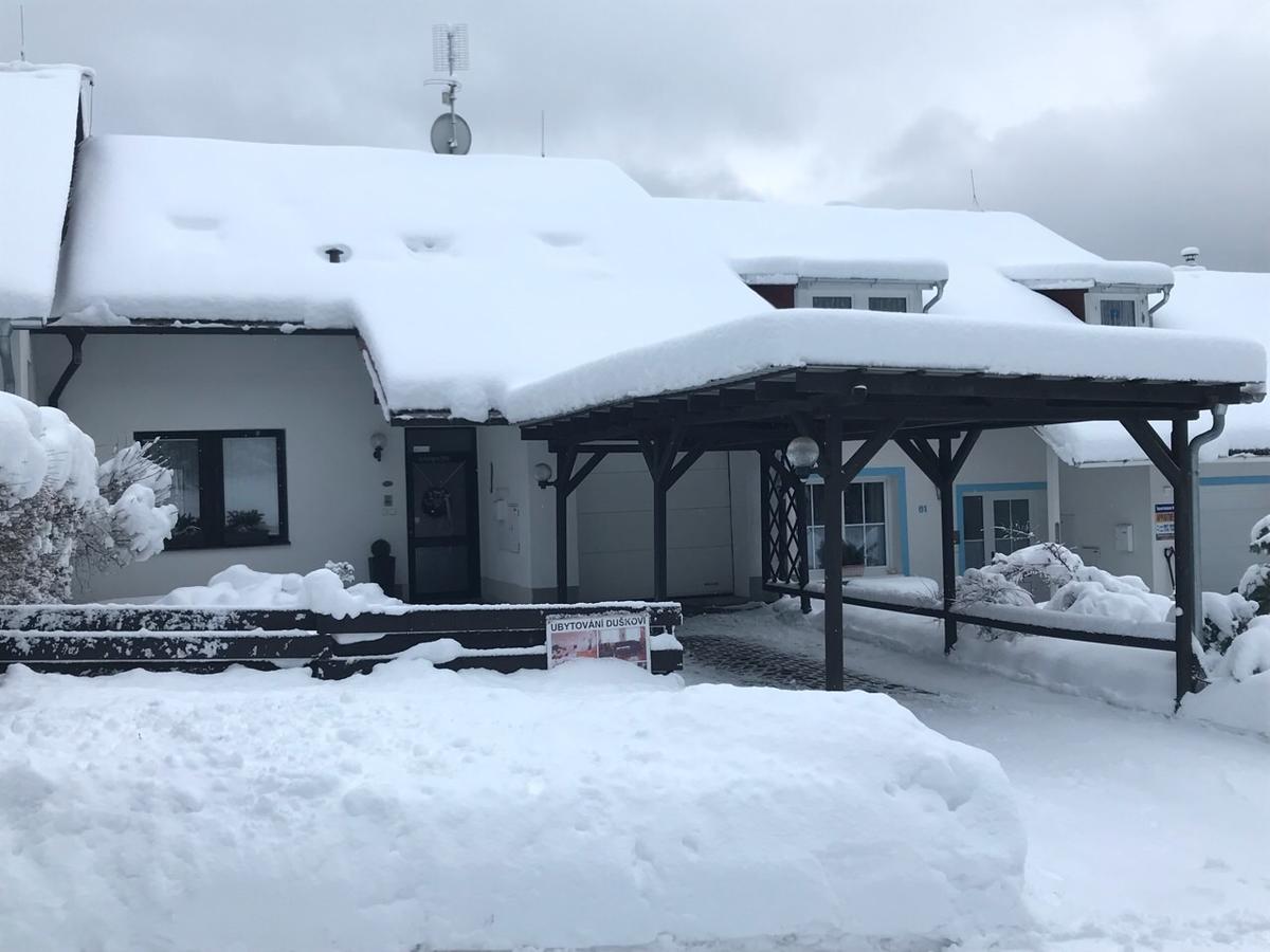 Ubytovani Duskovi Βίλα Lipno nad Vltavou Εξωτερικό φωτογραφία
